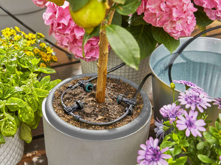 GARDENA SolarBewässerung "AquaBloom" im Set raiffeisenmarkt.de